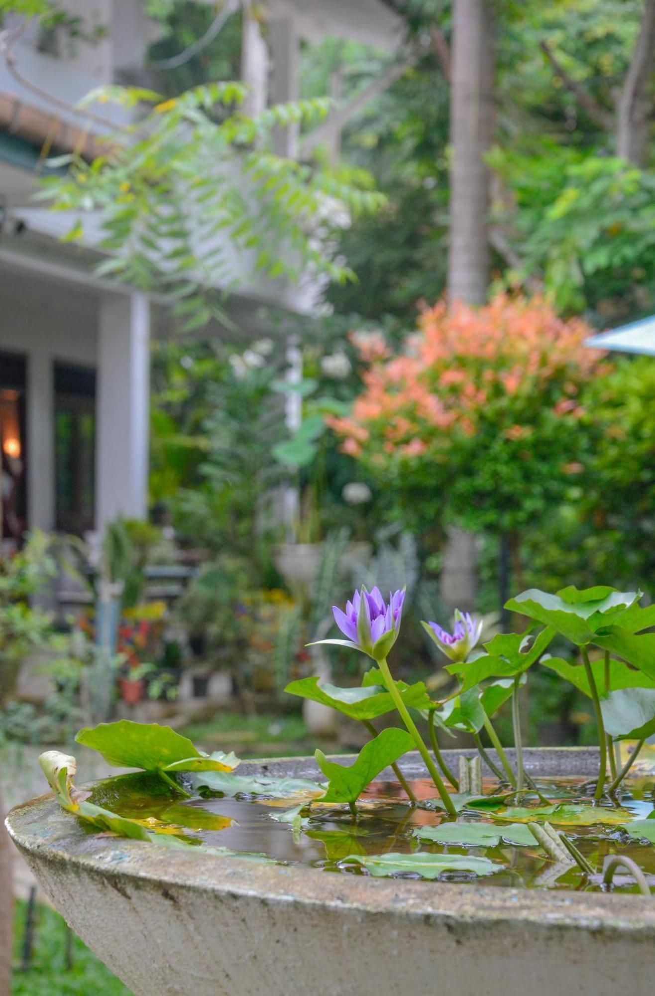 Palm Garden Guest House Гале Екстериор снимка