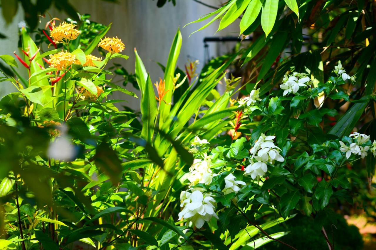 Palm Garden Guest House Гале Екстериор снимка