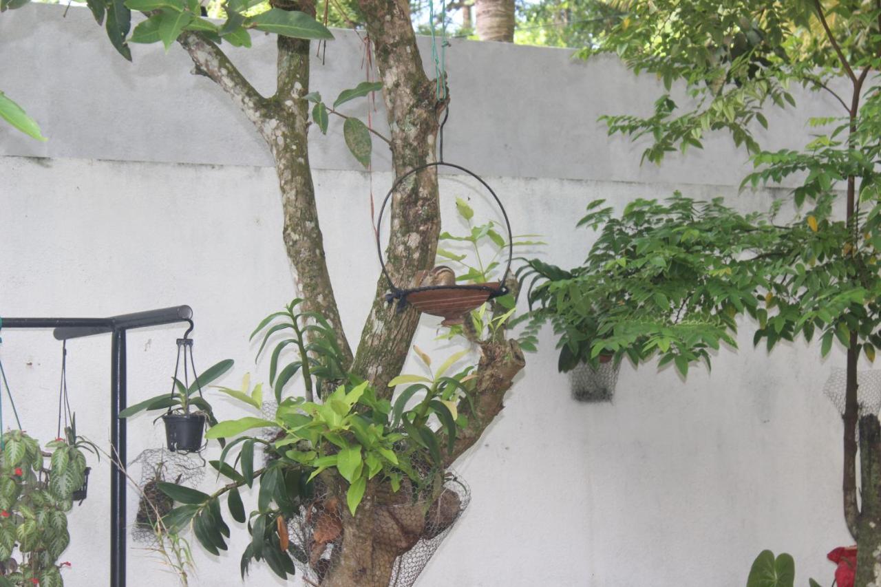 Palm Garden Guest House Гале Екстериор снимка